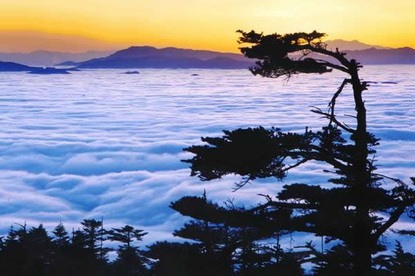 峨眉乐山超值二日跟团游
